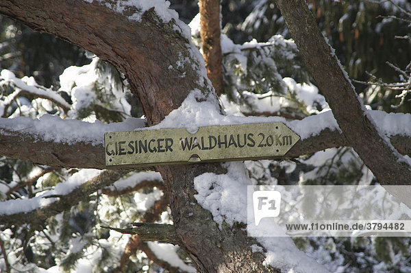 Weggweiser zum Giesinger Waldhaus im verschneitem Perlacher Forst München