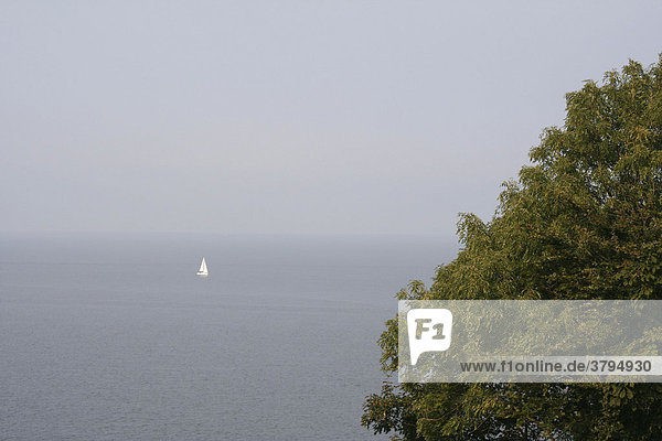 Segelschiff am Horizont