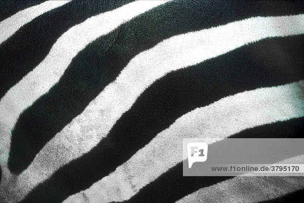 Zebrafell