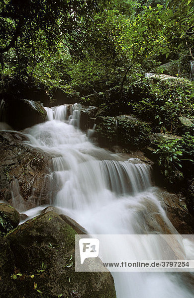 Wasserfall im Regenwald auf Insel Tioman Malaysia