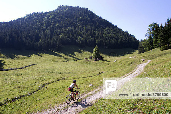 Mountainbking girl on a flat gravel road on a summery open alpine country side in the region Wilder Kaiser in Austria