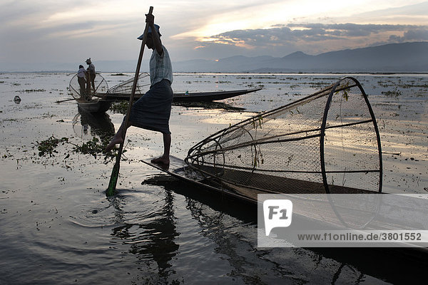 Myanmar  Burma  Shan State  Inle Lake  Fisherman