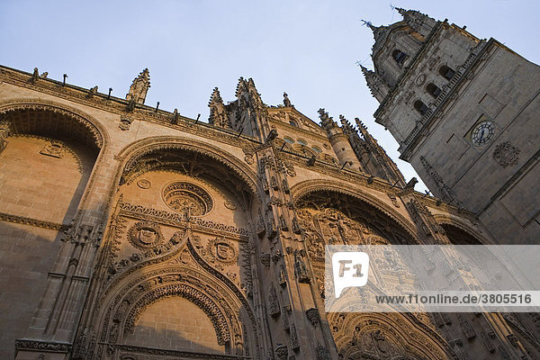 Die Alte und die Neue Kathedrale von Salamanca  Kastilien-LeÛn  Spanien
