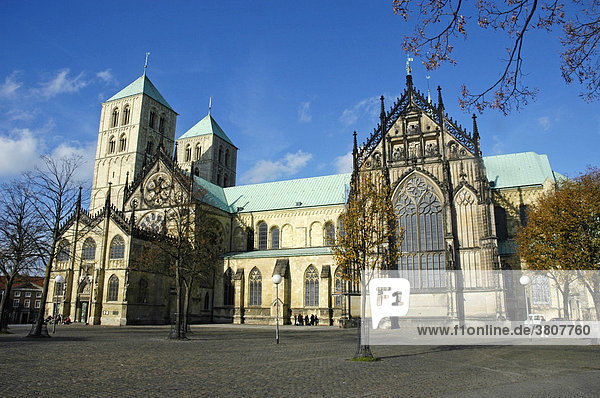 St. Paulus Dom  Münster  NRW  Nordrhein Westfalen  Deutschland
