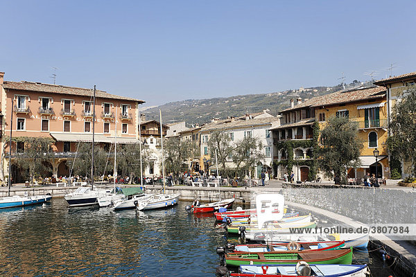 Hafen mit kleinen Fischerbooten  Torri del Benaco  Gardasee Italien