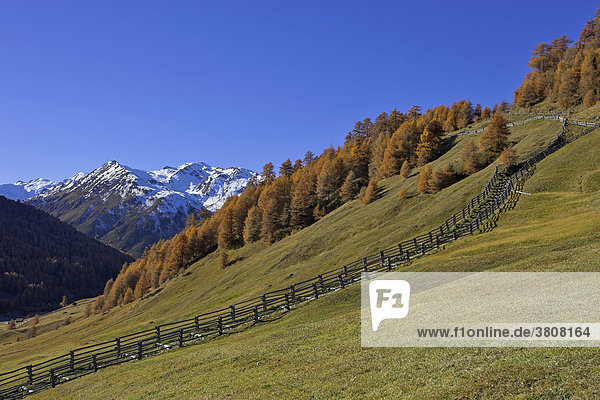 Traditioneller Holzzaun Rojen Südtirol Italien