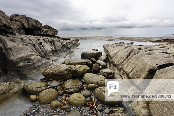Felsige Küstenszenerie am Finnish Rock  Inis Oirr  Aran Inseln  Irland