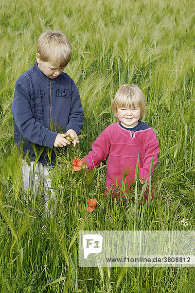 Children playing in grain field