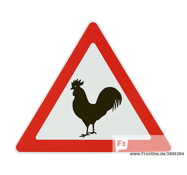 Attention! Avian influenza - white background