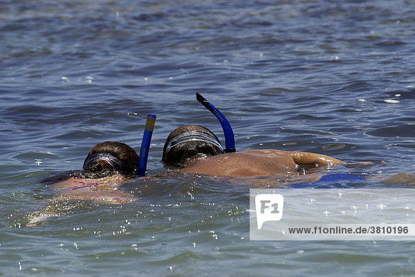 Father and daughter snorkeling  Recife  Brazil