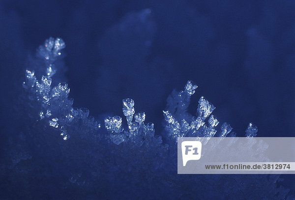 Hoar frost crystals