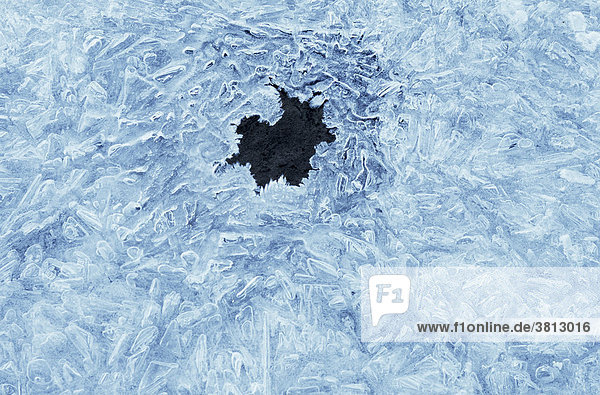 Hole in the frozen surface of a lake