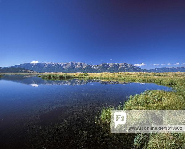 Centennial Mountains  Red Rock Lakes National Wildlife Refuge  Montana  USA