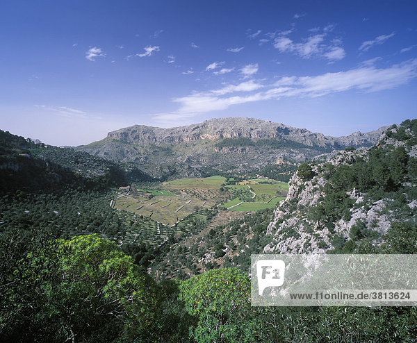 Son Llobera nahe Kloster Lluc  Serra de Tramuntana  Mallorca  Spanien