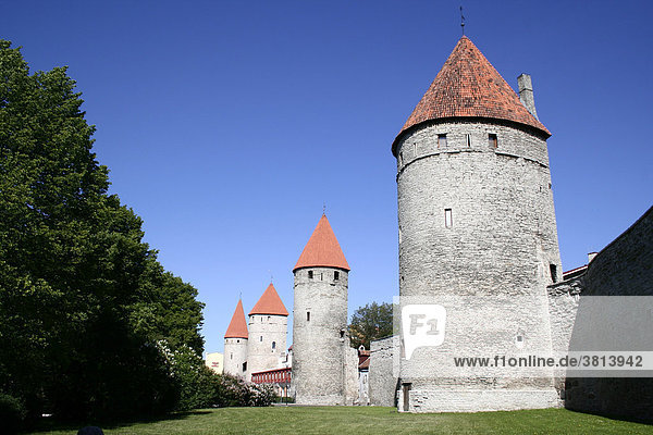 Teil der Stadtmauer  Tallinn  Estland