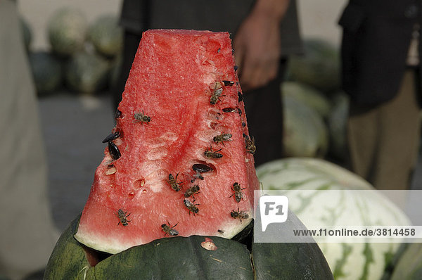 Bees sitting on a water melon on market from Uzbekistan