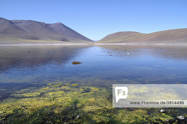 Lonesome mountain lake in the Eltatio area Chile