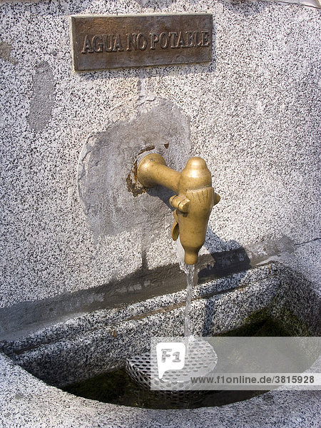 Brunnen mit Wasserspeier