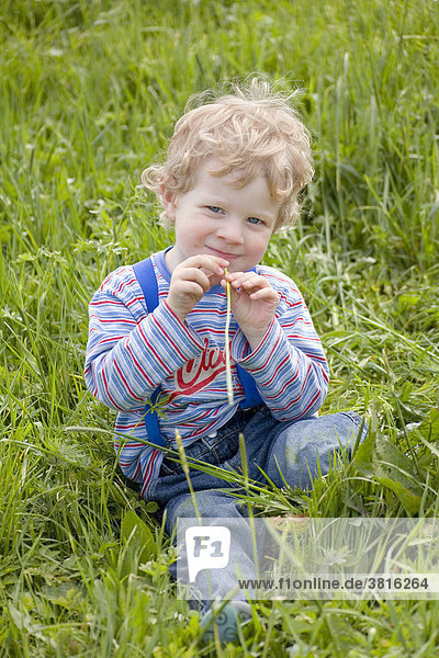 A three year old boy chewing on a blade of grass