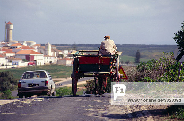 Mule cart  Algarve  Portugal