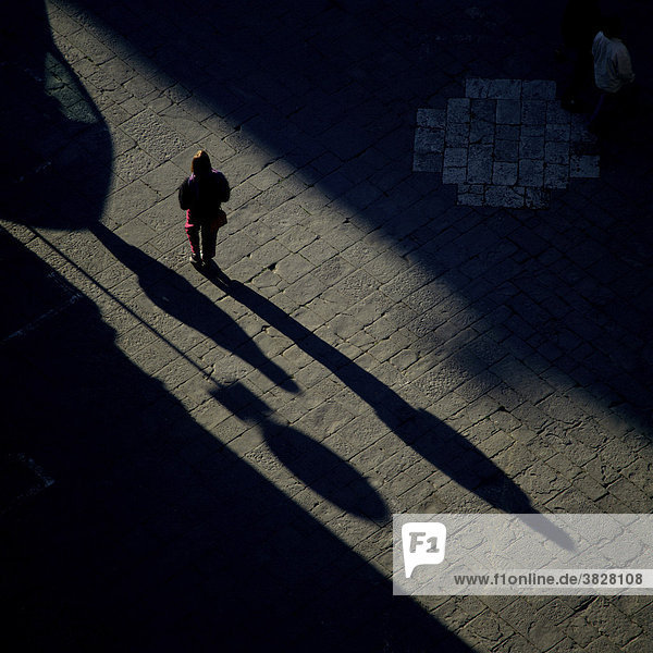 Shadow on the Piazza del Duomo  Siena  Tuscany  Italy