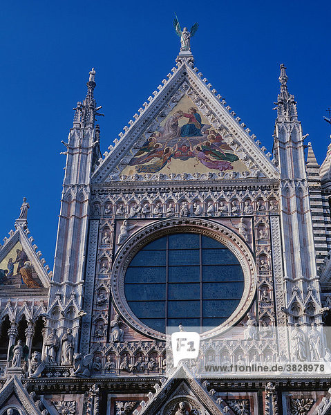 Fassade der Kathedrale Santa Maria Assunta  Siena  Toskana  Italien