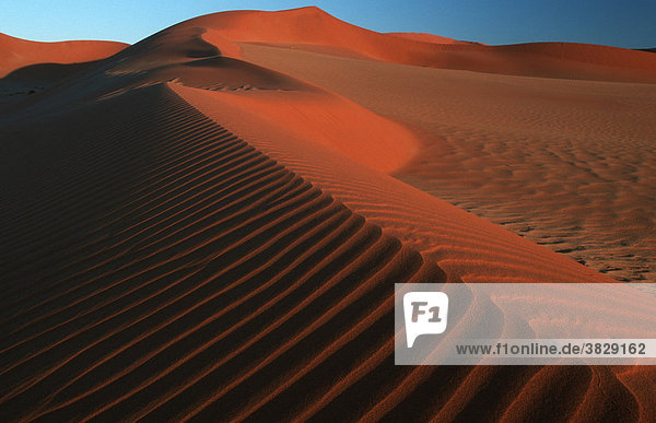 Sandduene  Namib Naukluft Park  Namib-Wueste  Nambia