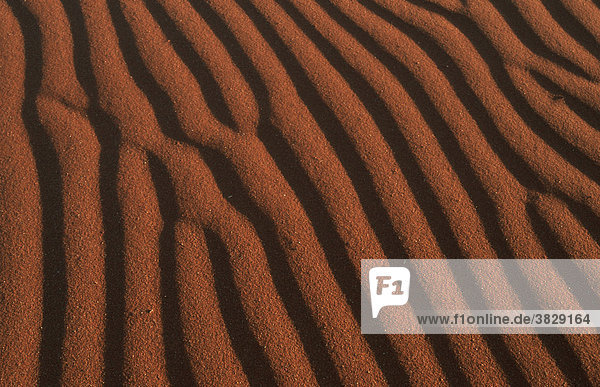 Sandstrukturen  Namib Naukluft Park  Namib-Wueste  Nambia