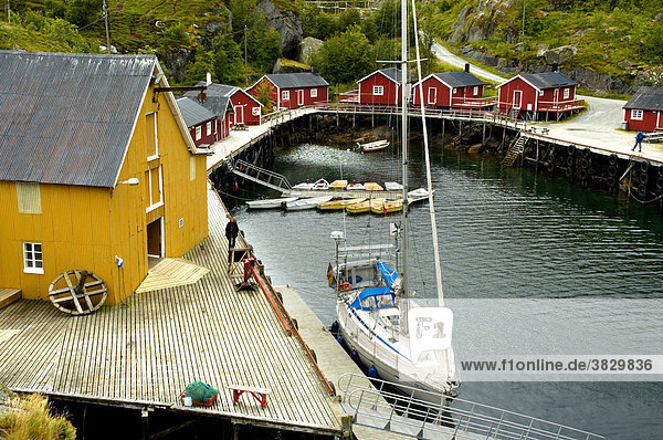 Kleiner Hafen mit bunten Häusern Nusfjord Flakstadöya Lofoten Norwegen