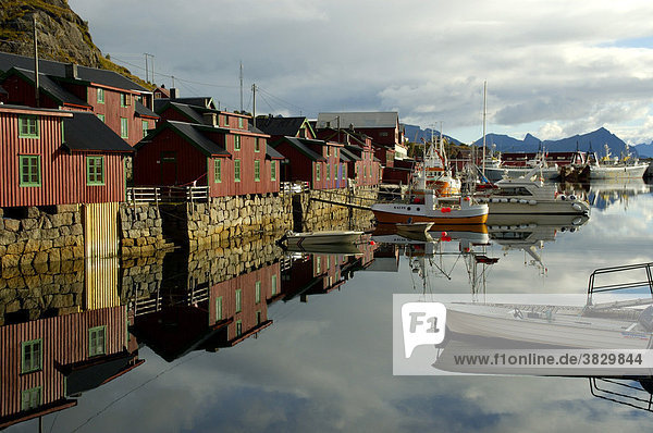 Rot angemalte Holzhäuser Rorbuer spiegeln sich im Wasser Stamsund Vestvagöya Lofoten Norwegen Holzhäuser
