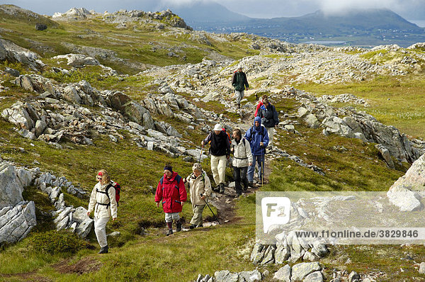 MR Hiking group on the path through the high fjell Vestvagoya Lofoten Norway