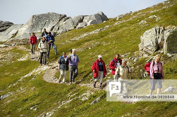 MR Hiking group on the path through the high fjell Vestvagoya Lofoten Norway