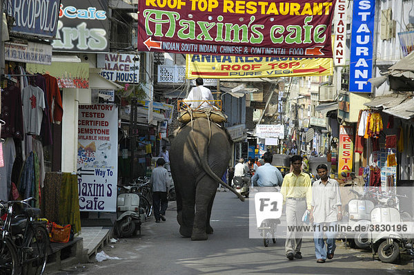 Bunte quirlige Straßenzzene mit Elefant Udaipur Rajasthan Indien