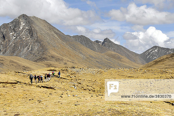 Trekking group passes a meadow below high mountain range in Tsotup-chu valley Tibet China