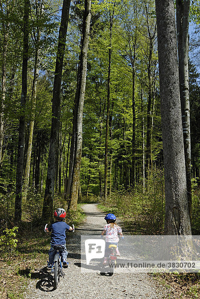 Zwei Kinder radeln durch den Wald beim Fahrrradfahren