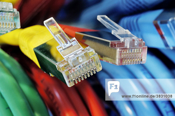 Two plugs of a coloured network cables for computer