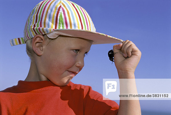 Little boy four years old looking at a black beetle on his hand