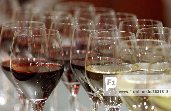 Red wine or white wine - Filled glasses allready served