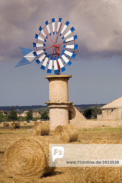 Majorca  windmill on a cornfield near Palma