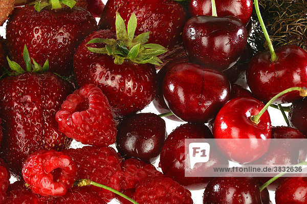 Sammlung von roten Früchten auf weissem Grund