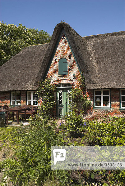 Typical thatched roofed house in Keitum  Sylt  Schleswig Holstein  Germany