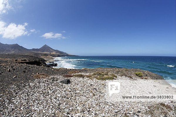 Muschelhaufen   Playa de Cofete  Jandia   Fuerteventura   Kanarische Inseln