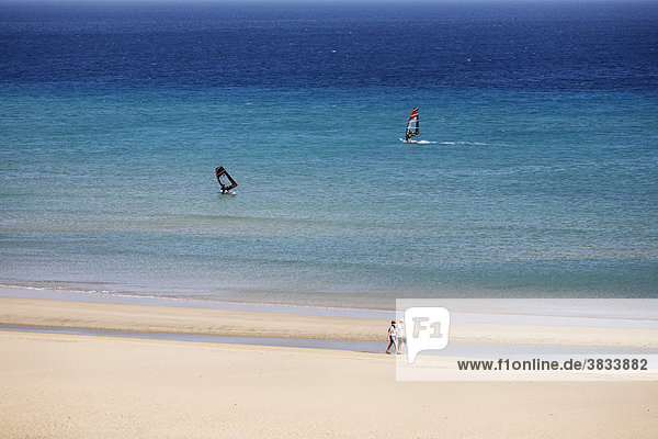 Windsurfer   Playa de Sotavento   Jandia   Fuerteventura   Canary Islands