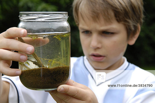 Boy observes his tadpoles in the glass