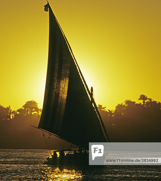Boot in der abendsonne a ägypten