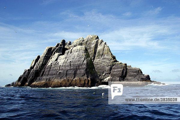 Little Skellig: Vogelparadies im Atlantik / Irland