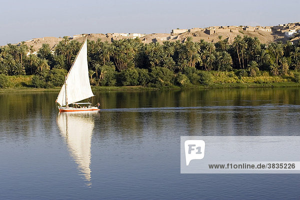 Sailingboat river nil in egypt