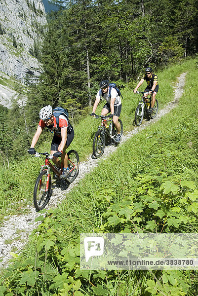 Radfahrer auf Radtour am Steirersteg im Nationalpark Kalkalpen  Oberösterreich  Österreich  Europa