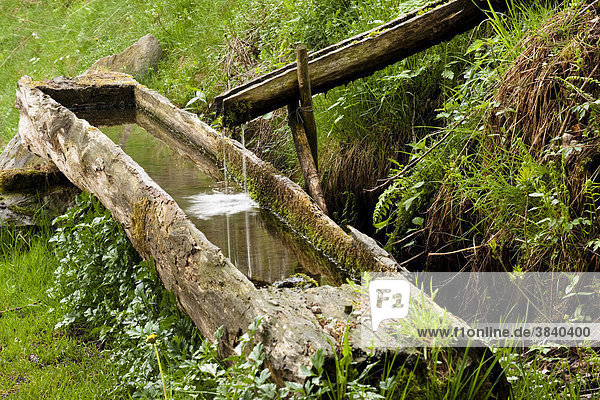 Holzbrunnen aus einem Baumstamm am Wegesrand im Schwarzwald  Baden-Württemberg  Deutschland  Europa