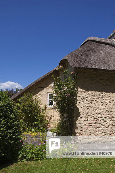 Traditionelles reetgedecktes Cottage in Merthyr Mawr  Wales  Großbritannien  Europa